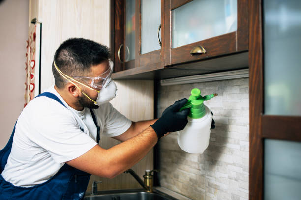 Odessa, TX Pest Control Company