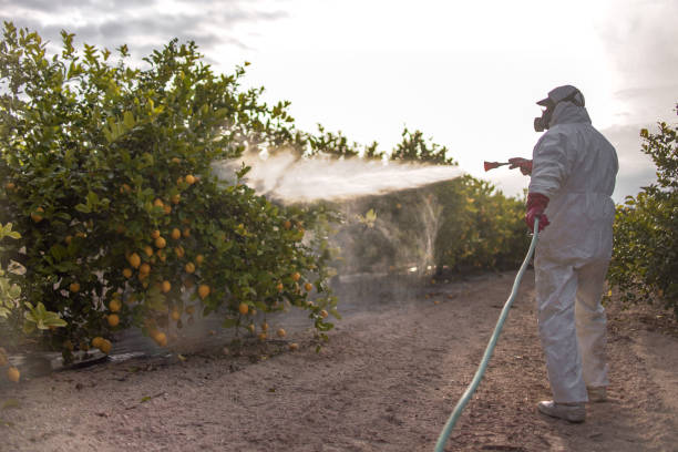 Best Best Pest Control Companies  in Odessa, TX